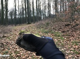 Foto