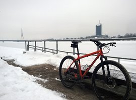 Foto