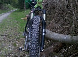 Foto