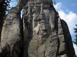 Foto