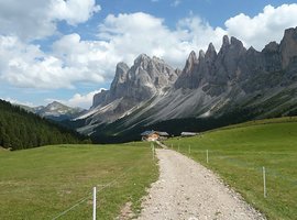 Foto