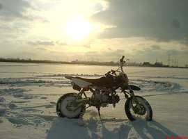 Foto