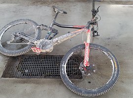 Foto