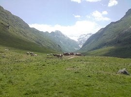 Foto
