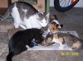 Foto
