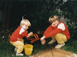 Foto