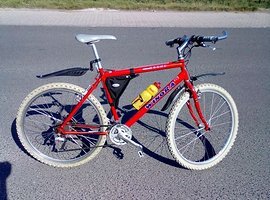 Foto