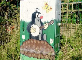 Foto