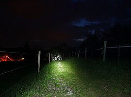 Foto