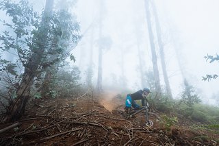 Insbesondere auf den extrem schnellen und etwas ausgebauteren Downhill-Strecken in Madeiras Eukalyptuswäldern war das Nukeproof Mega voll in seinem Element und würde wohl auch in den meisten Bikeparks keine schlechte Figur machen.