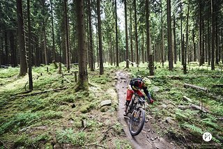 Das Trailcenter Rabenberg bietet eine Menge Trails Das Trailcenter Rabenberg bietet eine Menge Trails