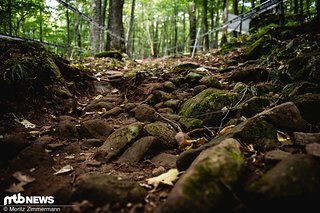 Beim Trackwalk gefiel Danny die sehr flache und verblockte Strecke in Snowshoe, USA, nicht sonderlich gut. Beim Trackwalk gefiel Danny die sehr flache und verblockte Strecke in Snowshoe, USA, nicht sonderlich gut.