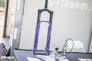 Die Formula Selva