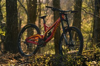 Das neue Devinci Wilson 29 wird in zwei Farben und zwei Ausstattungsvariante zu Preisen zwischen 4.399 und 6.699 € (UVP) erhältlich sein Das neue Devinci Wilson 29 wird in zwei Farben und zwei Ausstattungsvariante zu Preisen zwischen 4.399 und 6.699 € (UVP) erhältlich sein