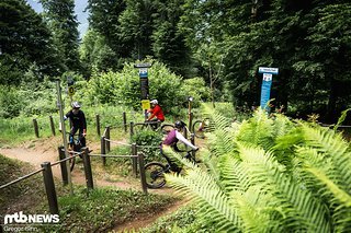 Ein besonderes Feature ist der Trail-Kreisel, von dem aus man in verschiedene Abfahrten starten kann. Ein besonderes Feature ist der Trail-Kreisel, von dem aus man in verschiedene Abfahrten starten kann.