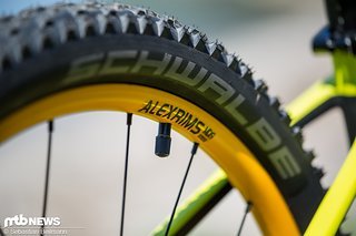 Felgen kommen von Alexrims