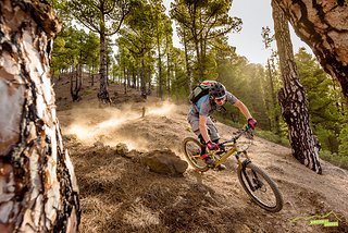 Jasper hat sichtlich Spaß auf den trockenen Kiefernnadeln auf La Palma Jasper hat sichtlich Spaß auf den trockenen Kiefernnadeln auf La Palma