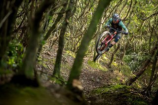 Chasing Trail Tuscany 2018 SCOTT Sports Picture by Jochen Haar JHA 2628 - Kopie Chasing Trail Tuscany 2018 SCOTT Sports Picture by Jochen Haar JHA 2628 - Kopie