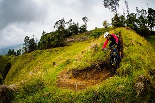 Der Alegrias Trail verläuft im oberen Teil wild und steil über Wurzeln durch dichten Wald. Im unteren Teil öffnet er sich und folgt alten Wirtschafts-Wegen über offene Weiden. Der Alegrias Trail verläuft im oberen Teil wild und steil über Wurzeln durch dichten Wald. Im unteren Teil öffnet er sich und folgt alten Wirtschafts-Wegen über offene Weiden.
