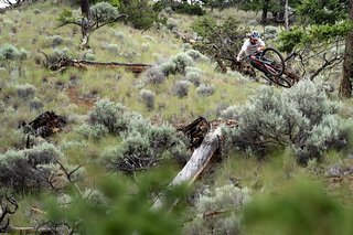 Downhill? Freeride? Downhill? Freeride?