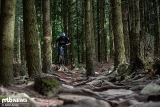 Auch wenn das Torque:ON sich hier keinerlei Blöße gab