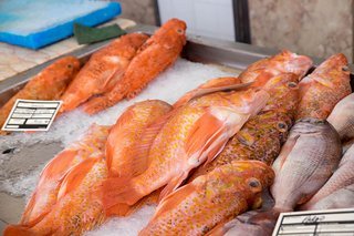 Ob uns die „frischen“ Fische den Magen verdorben haben?