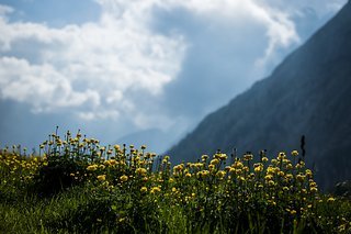 Auch das Wetter spielte die meiste Zeit mit.