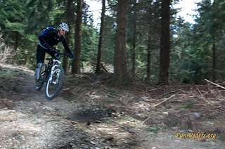 In einem der waldigen Stücke der Trails In einem der waldigen Stücke der Trails