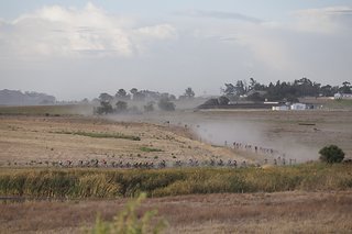 The leading bunch during Stage 4 of the 2025 Absa Cape Epic Mountain Bike stage race held at Fairview, Paarl, Cape Town, South Africa on the 20th March 2025. Photo by Nick Muzik/Cape Epic
PLEASE ENSURE THE APPROPRIATE CREDIT IS GIVEN TO THE PHOTOGRAP