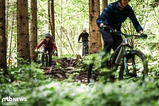 Im unteren Teil läuft der wurzelige Trail flach aus Im unteren Teil läuft der wurzelige Trail flach aus