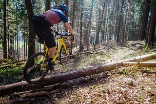 Über Stein und über Stock. Unsere Identität als Mountainbiker lässt sich auch mit Rennradlenker kaum verschleiern.