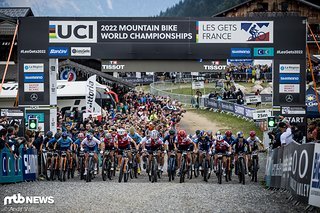 Die schnellsten Short Track-Damen des Planeten gehen auf die Jagd nach Gold, Silber und Bronze.