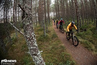 Durch wunderschöne Wälder. Durch wunderschöne Wälder.