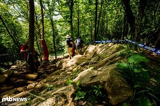Der etwas holprig zu fahrende Steinanlieger führt aus dem ersten technischen Waldstück zurück auf die schnelle Skiwiese.