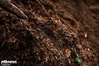 Wieso liegt hier eigentlich Loam?