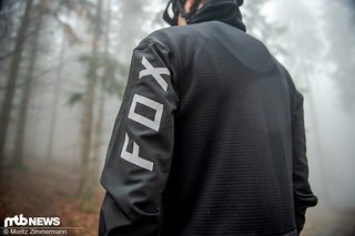 fox-winter-9465 fox-winter-9465