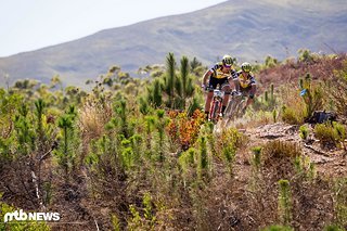 Beim Cape Epic war Nino Schurter nicht zu schlagen. Holt er sich auch den Sieg beim Weltcupauftakt in Nove Mesto?
