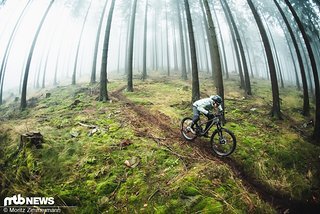 Trail Bikes sind prädestiniert für traumhafte Singletrails im Wald oder in den Alpen