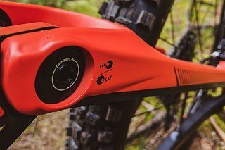 Mittels Flip Chip an der Umlenkwippe lässt sich die Geometrie des Devinci Spartan 29 verstellen.