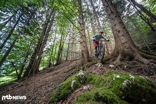 Steif und präzise lädt das Altitude zu Steilabfahrten.