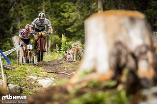 Im vergangenen Jahr war Nino Schurter ein sicherer Punktelieferant beim Tippspiel. Wird das 2018 wieder so sein?