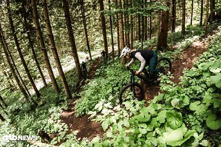 Technisch anspruchsvoller wirds am Blairwitch-Trail Technisch anspruchsvoller wirds am Blairwitch-Trail