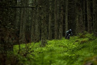 Der Wald zeigte sich dabei von der schönsten Seite.