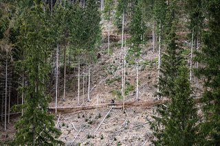 Die lange frische Off-Camber-Traverse am Ende von Stage 1