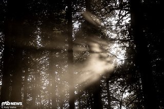 Sonne, Sommer, Sonnenschein