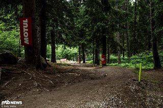 Vor der letzten Sektion im Wald wird die Strecke kurz recht flach Vor der letzten Sektion im Wald wird die Strecke kurz recht flach
