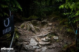 Das berühmt-berüchtigte Stump-Gap