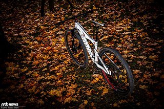 Insgesamt ist das Specialized Epic World Cup eines der schnellsten und zugleich spaßigsten Räder, die ich je gefahren bin