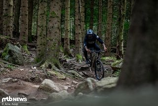 Wer zum Bikepark Lac Blanc reist, der sollte sich unbedingt an den Strecken La Roots, La Nuts und La Fat probieren