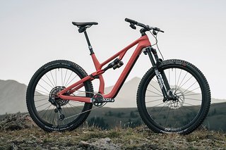 Wer am liebsten ausgedehnte Touren fährt und dabei immer im perfekten Fahrwerksmodus sein will, greift zum Canyon Neuron CF SLX LTD für 8.000 €. Wer am liebsten ausgedehnte Touren fährt und dabei immer im perfekten Fahrwerksmodus sein will, greift zum Canyon Neuron CF SLX LTD für 8.000 €.